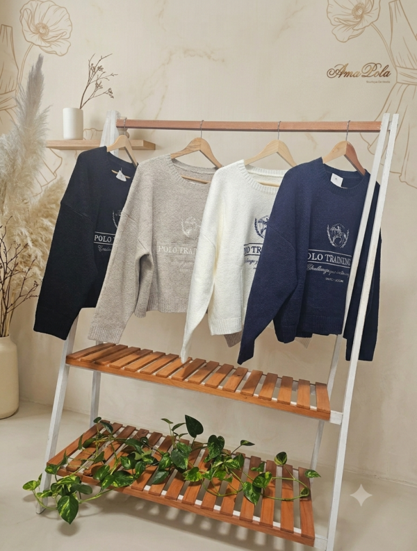 Sweaters over bordado de bremer premium POLO.